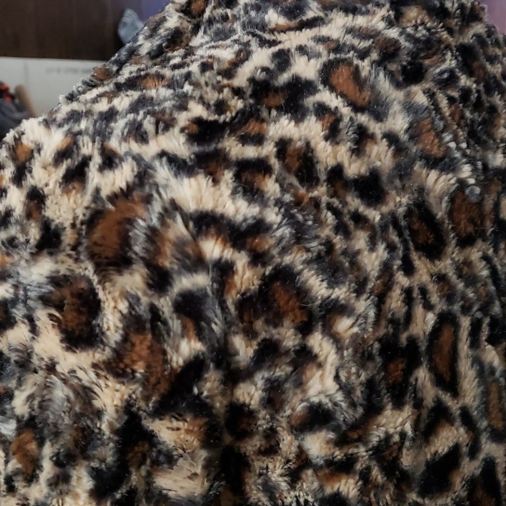 Jacket - Picture 5 of 5